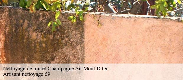 Nettoyage de muret  champagne-au-mont-d-or-69410 Artisant nettoyage 69