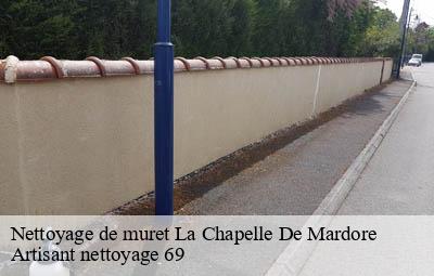 Nettoyage de muret  la-chapelle-de-mardore-69240 Artisant nettoyage 69