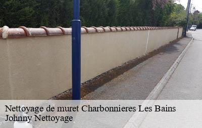 Nettoyage de muret  charbonnieres-les-bains-69260 Johnny Nettoyage 