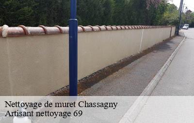 Nettoyage de muret  chassagny-69700 Artisant nettoyage 69