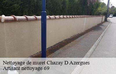 Nettoyage de muret  chazay-d-azergues-69380 Artisant nettoyage 69