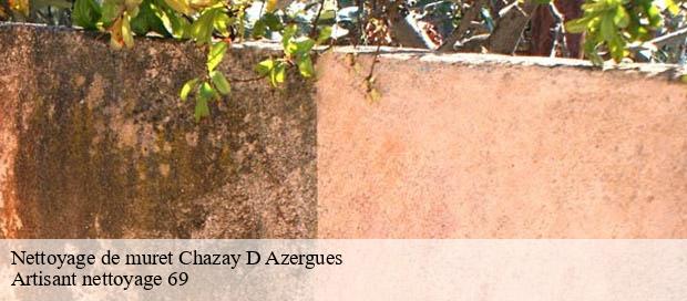 Nettoyage de muret  chazay-d-azergues-69380 Artisant nettoyage 69