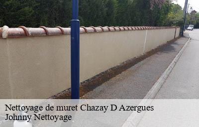 Nettoyage de muret  chazay-d-azergues-69380 Johnny Nettoyage 