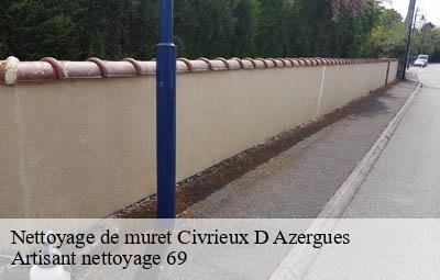 Nettoyage de muret  civrieux-d-azergues-69380 Artisant nettoyage 69