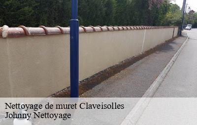 Nettoyage de muret  claveisolles-69870 Johnny Nettoyage 