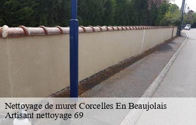 Nettoyage de muret  corcelles-en-beaujolais-69220 Artisant nettoyage 69