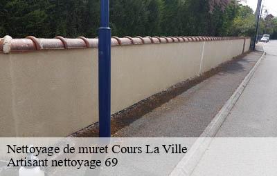 Nettoyage de muret  cours-la-ville-69470 Artisant nettoyage 69