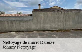 Nettoyage de muret  dareize-69490 Johnny Nettoyage 