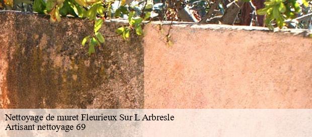 Nettoyage de muret  fleurieux-sur-l-arbresle-69210 Artisant nettoyage 69