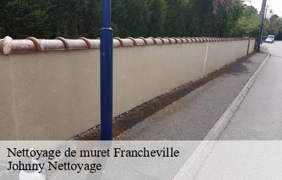 Nettoyage de muret  francheville-69340 Johnny Nettoyage 