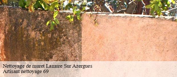 Nettoyage de muret  lamure-sur-azergues-69870 Artisant nettoyage 69