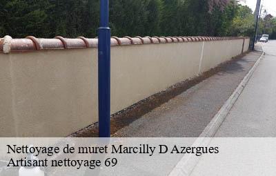 Nettoyage de muret  marcilly-d-azergues-69380 Artisant nettoyage 69