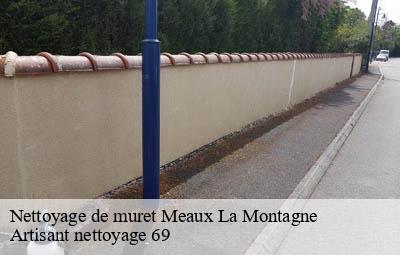 Nettoyage de muret  meaux-la-montagne-69550 Artisant nettoyage 69