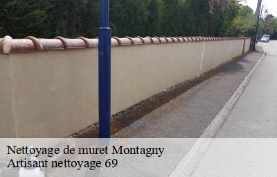 Nettoyage de muret  montagny-69700 Artisant nettoyage 69