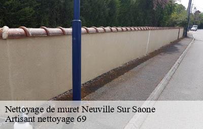 Nettoyage de muret  neuville-sur-saone-69250 Artisant nettoyage 69