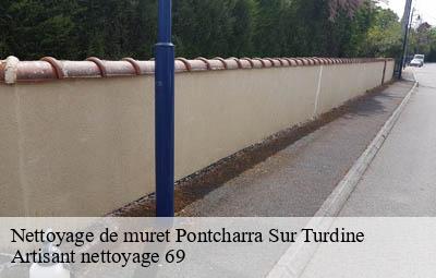 Nettoyage de muret  pontcharra-sur-turdine-69490 Artisant nettoyage 69