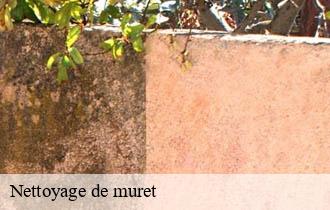 Nettoyage de muret  pouilly-le-monial-69400 Johnny Nettoyage 