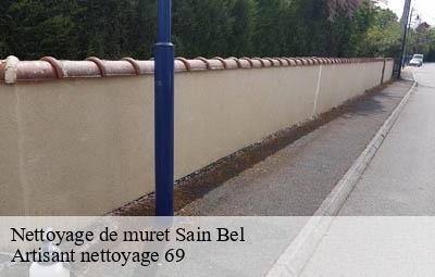 Nettoyage de muret  sain-bel-69210 Artisant nettoyage 69