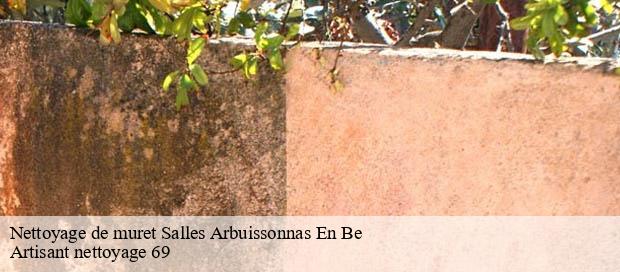 Nettoyage de muret  salles-arbuissonnas-en-be-69460 Artisant nettoyage 69