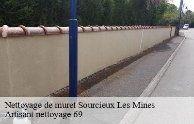 Nettoyage de muret  sourcieux-les-mines-69210 Artisant nettoyage 69