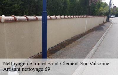 Nettoyage de muret  saint-clement-sur-valsonne-69170 Artisant nettoyage 69