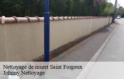 Nettoyage de muret  saint-forgeux-69490 Johnny Nettoyage 