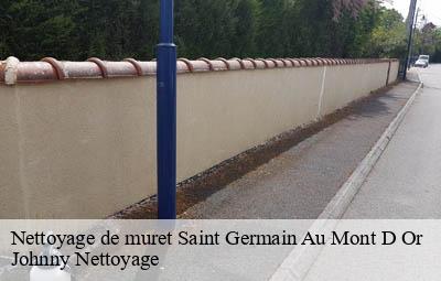 Nettoyage de muret  saint-germain-au-mont-d-or-69650 Johnny Nettoyage 