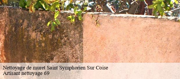 Nettoyage de muret  saint-symphorien-sur-coise-69590 Artisant nettoyage 69