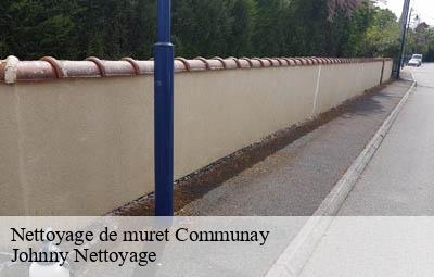 Nettoyage de muret  communay-69360 Johnny Nettoyage 