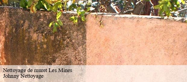 Nettoyage de muret  les-mines-69650 Johnny Nettoyage 