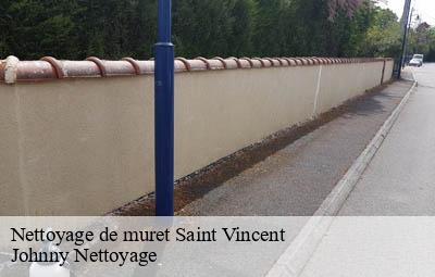 Nettoyage de muret  saint-vincent-69440 Johnny Nettoyage 