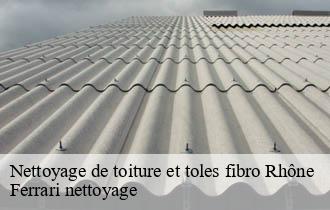 Nettoyage de toiture et toles fibro 69 Rhône Ferrari nettoyage