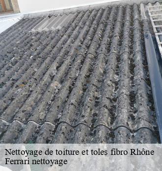 Nettoyage de toiture et toles fibro 69 Rhône Ferrari nettoyage