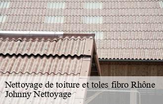 Nettoyage de toiture et toles fibro 69 Rhône  Johnny Nettoyage 