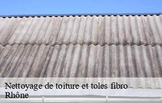 Nettoyage de toiture et toles fibro 69 Rhône  Johnny Nettoyage 