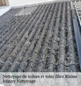 Nettoyage de toiture et toles fibro 69 Rhône  Johnny Nettoyage 