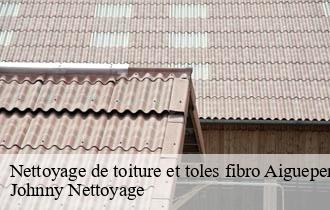 Nettoyage de toiture et toles fibro  aigueperse-69790 Johnny Nettoyage 