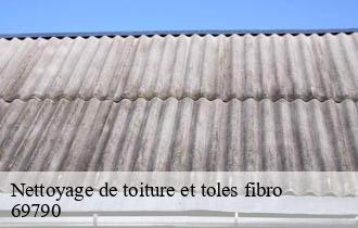 Nettoyage de toiture et toles fibro  aigueperse-69790 Johnny Nettoyage 