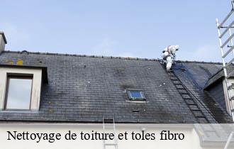 Nettoyage de toiture et toles fibro  albigny-sur-saone-69250 Johnny Nettoyage 