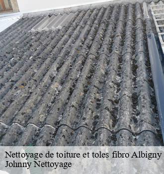 Nettoyage de toiture et toles fibro  albigny-sur-saone-69250 Johnny Nettoyage 