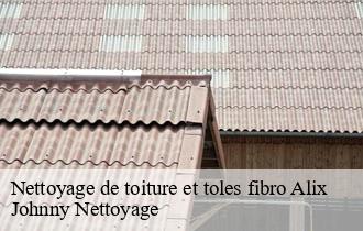 Nettoyage de toiture et toles fibro  alix-69380 Johnny Nettoyage 