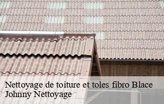 Nettoyage de toiture et toles fibro  blace-69460 Johnny Nettoyage 