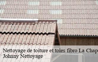 Nettoyage de toiture et toles fibro  la-chapelle-de-mardore-69240 Johnny Nettoyage 