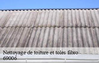 Nettoyage de toiture et toles fibro  lyon-6-69006 Johnny Nettoyage 