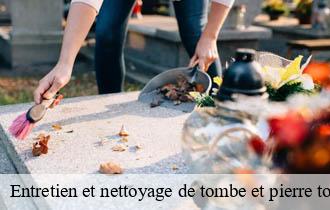 Entretien et nettoyage de tombe et pierre tombale  champagne-au-mont-d-or-69410 Johnny Nettoyage 