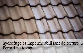hydrofuge et imperméabilisant de toiture 69 Rhône Ferrari nettoyage