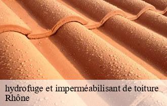 hydrofuge et imperméabilisant de toiture 69 Rhône Ferrari nettoyage