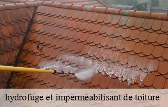 hydrofuge et imperméabilisant de toiture 69 Rhône Ferrari nettoyage