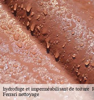 hydrofuge et imperméabilisant de toiture 69 Rhône Ferrari nettoyage