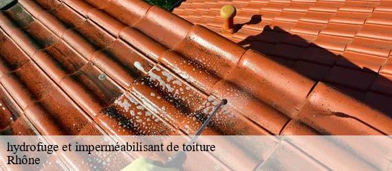 hydrofuge et imperméabilisant de toiture 69 Rhône Ferrari nettoyage